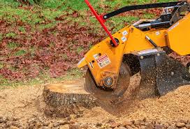 Best Commercial Tree Services  in Samsula Spruce Creek, FL