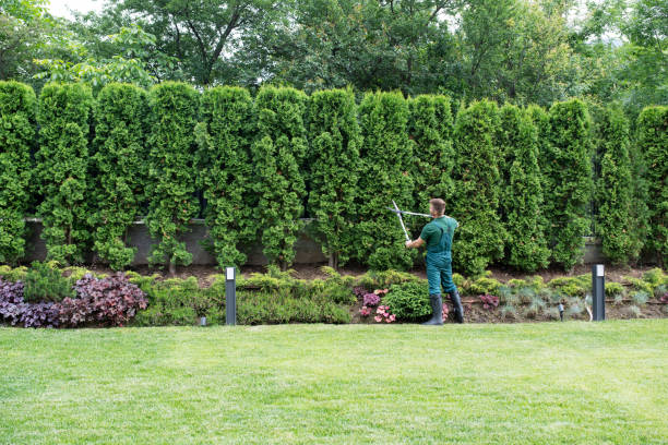 Best Lawn Pest Prevention  in Samsula Spruce Creek, FL
